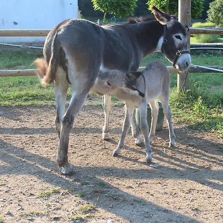 Romantic Mlyn Karlštejn