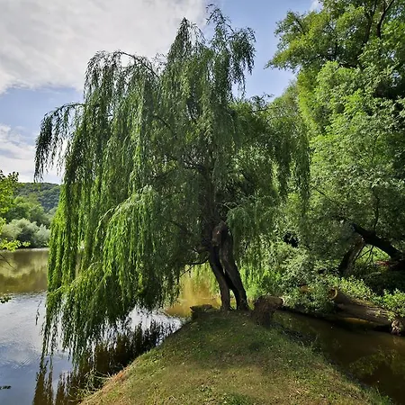 Romantic Mlyn Hotell 4*